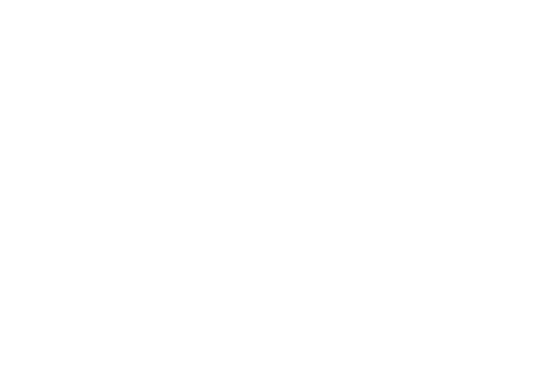 stevo and the shot lights